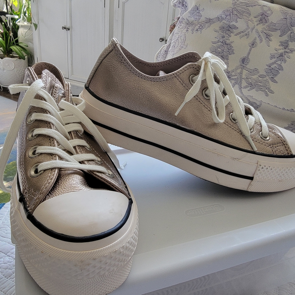 Converse Silver Sneakers Classic Design